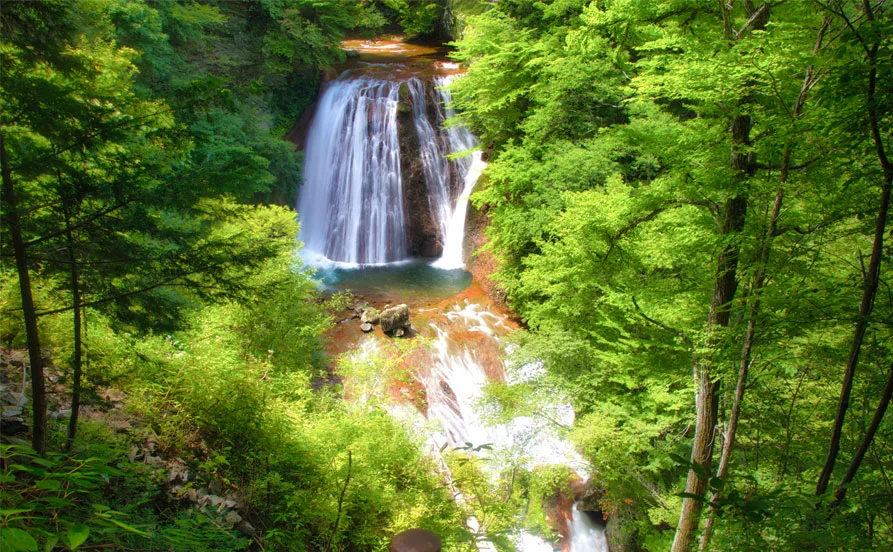 求人メイン