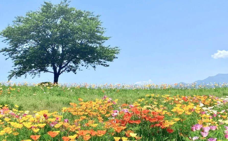 求人メイン