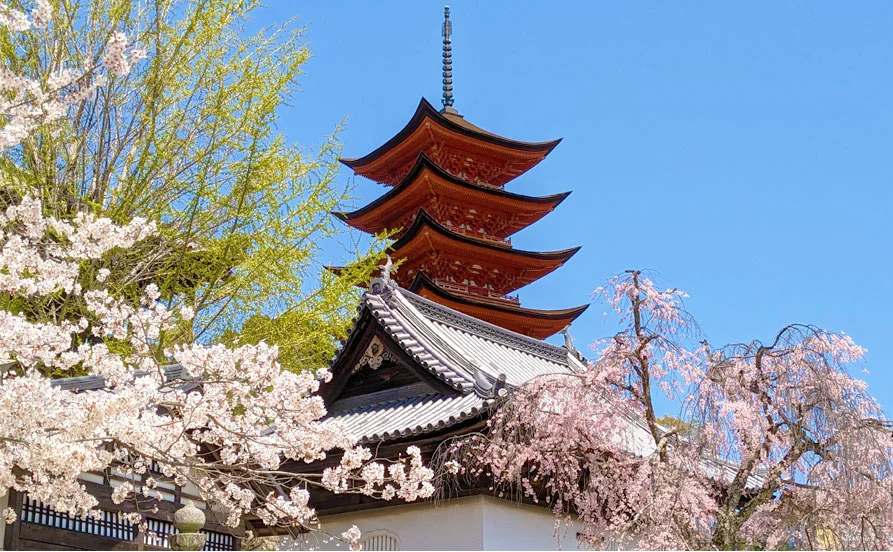 求人メイン
