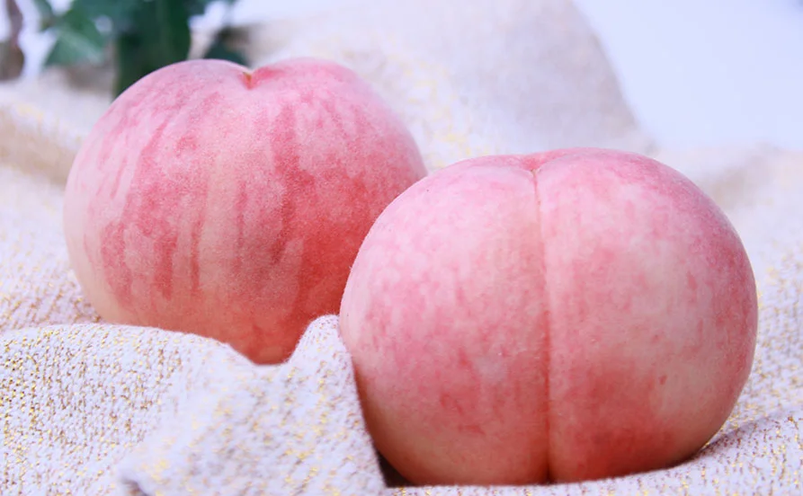 求人メイン