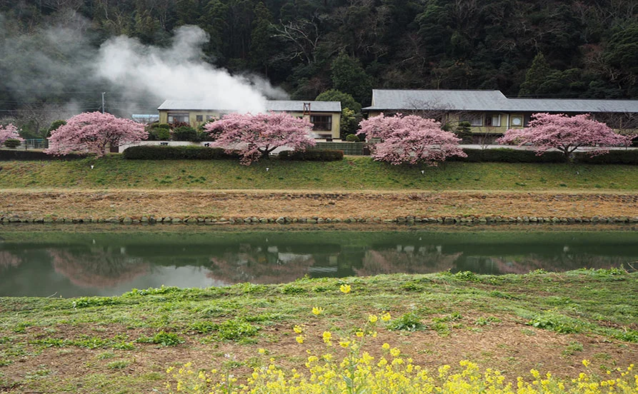 求人メイン