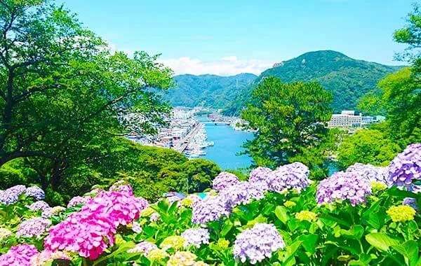 求人メイン