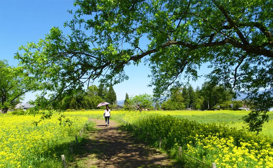 求人メイン
