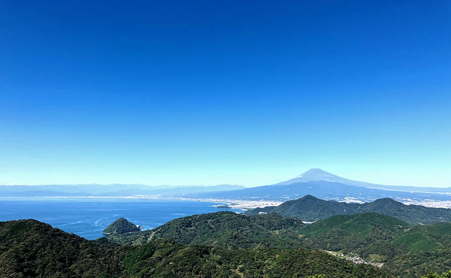 求人メイン