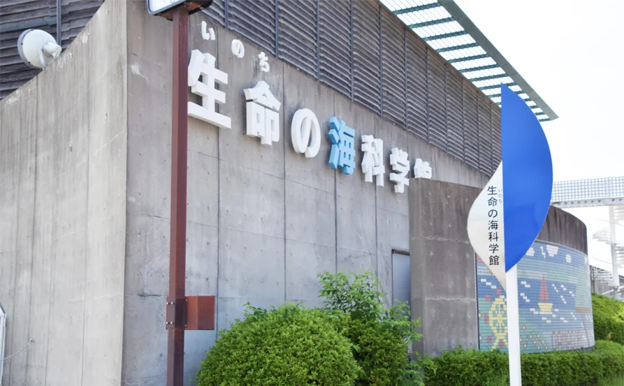 求人メイン