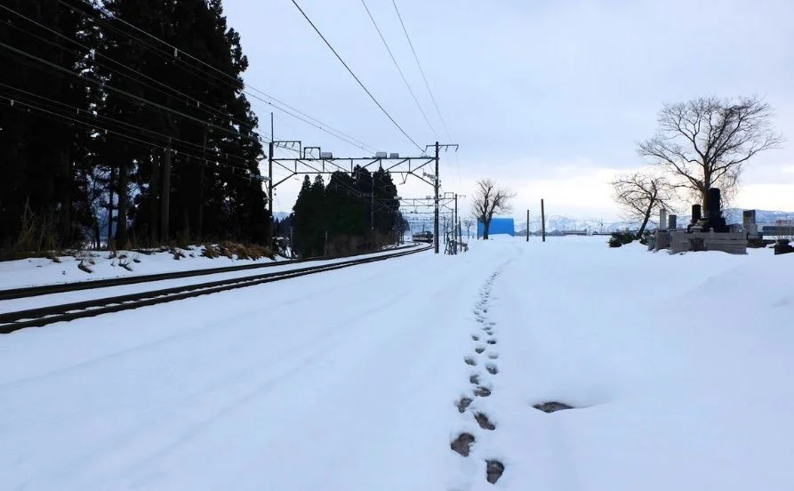求人メイン