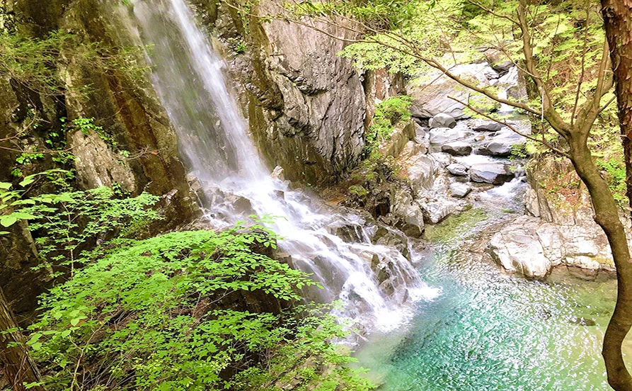 求人メイン