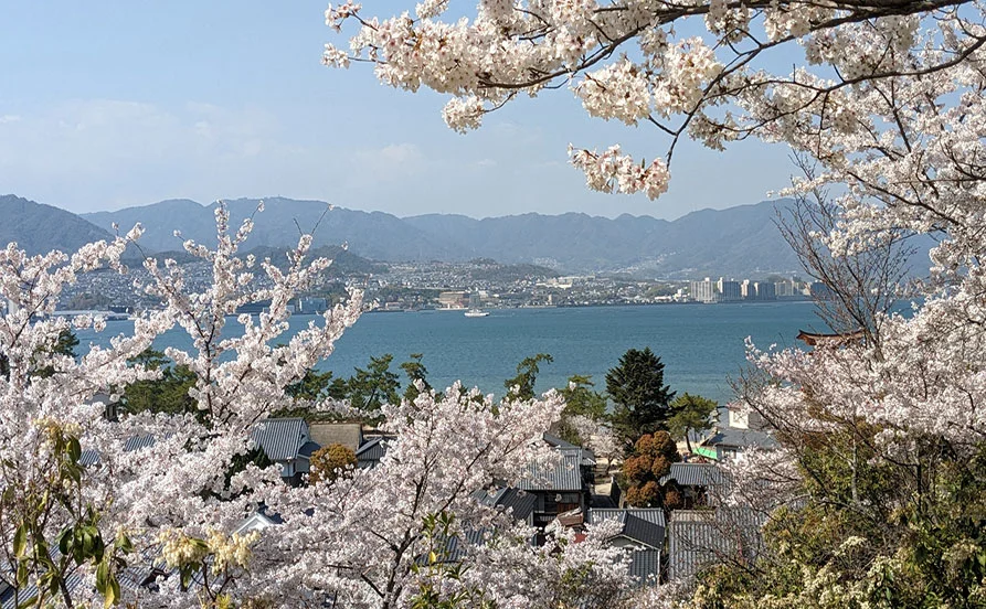 求人メイン