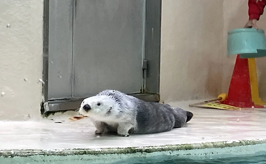 求人メイン